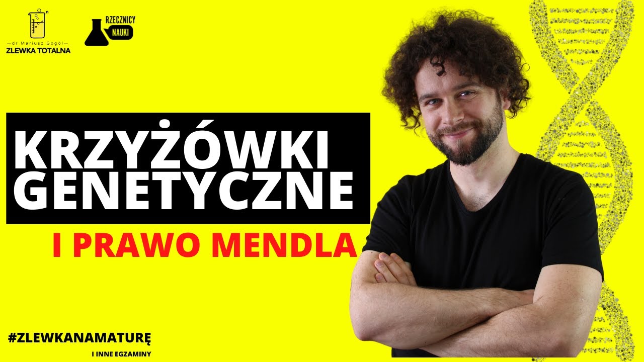 KRZYŻÓWKI GENETYCZNE [I PRAWO MENDLA] - Genetyka klasyczna [Matura z biologii 2023]