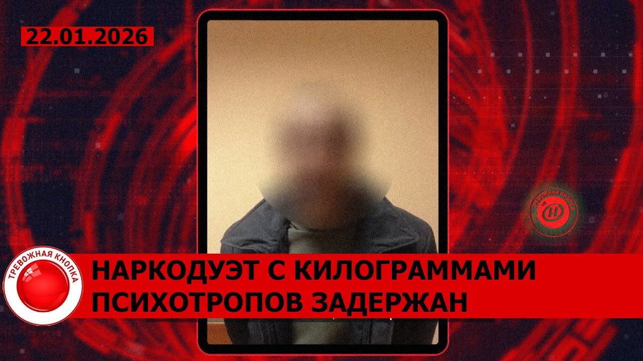 Пенсионерка дала отпор грабителю! Наркодилеры, поддельные билеты и грабитель-пьяница