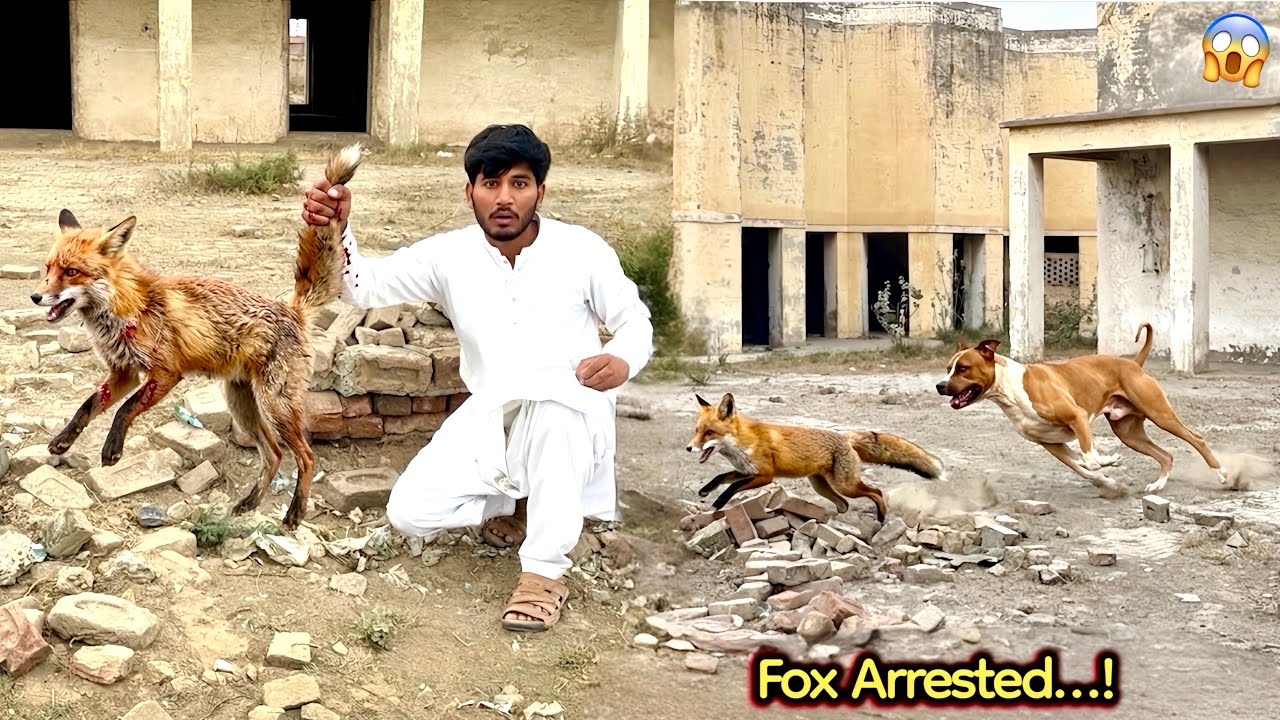 Unbelievable Performance From Fox 🦊 Shikar😱