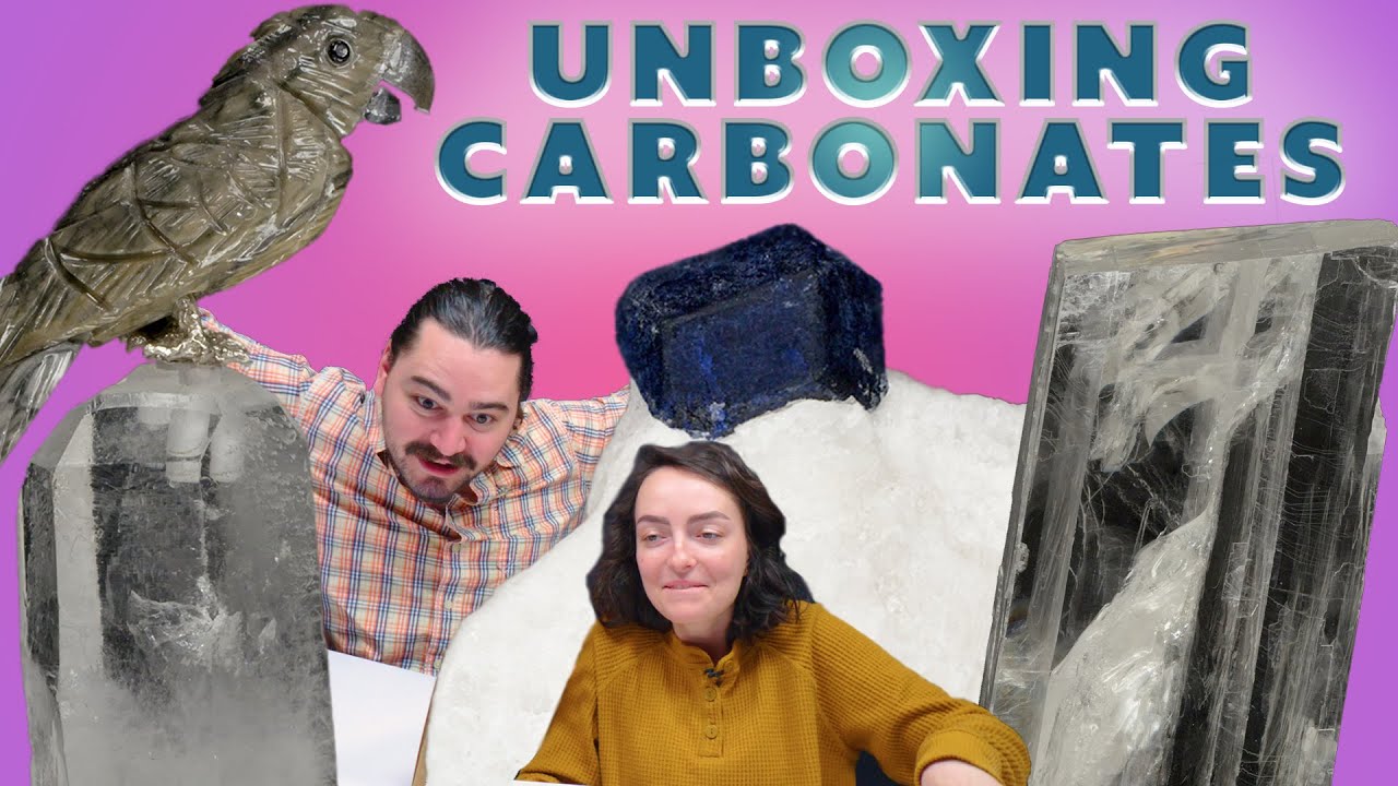 Unboxing Carbonates | Calcite, Marble, Fossils, and more!