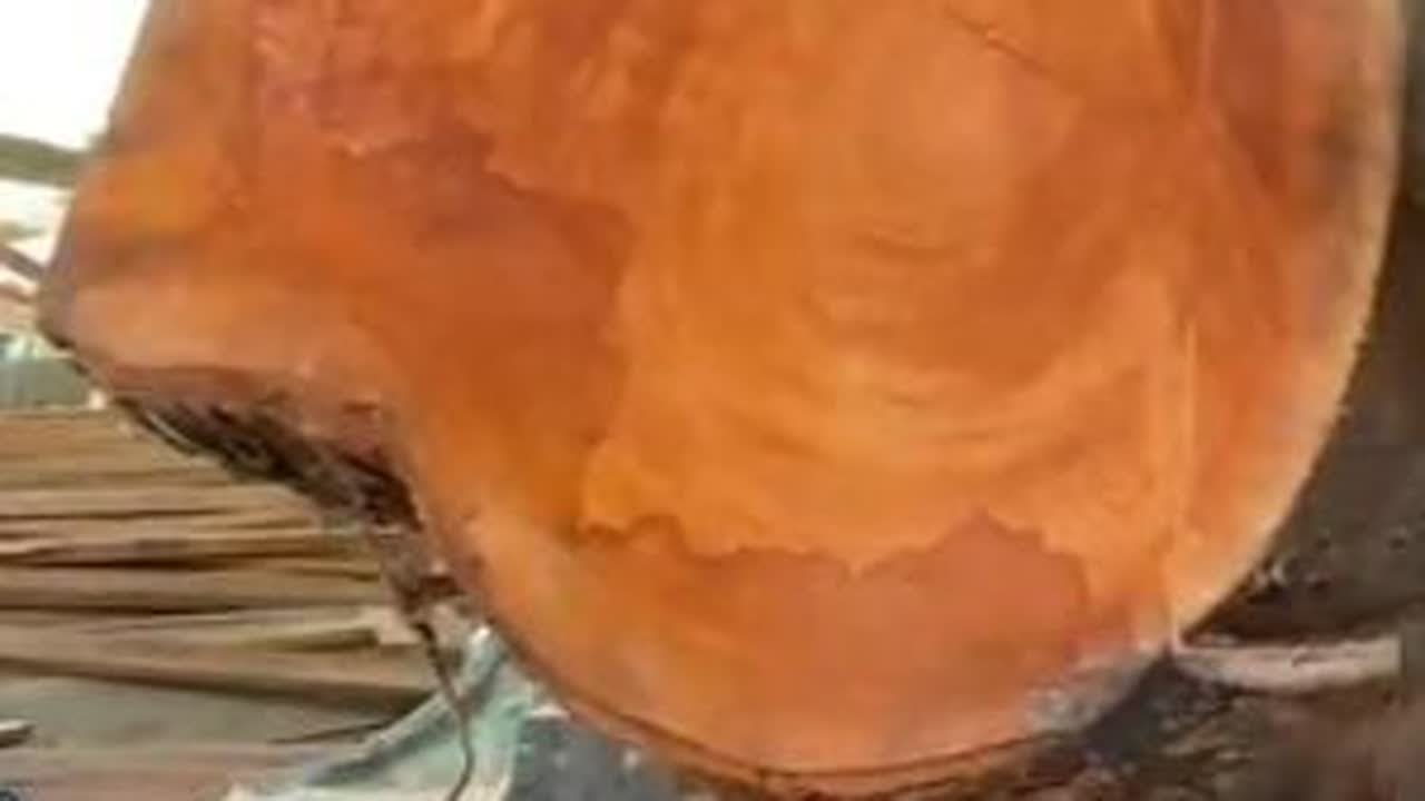 将一根大型红木锯割成客户需要的特制板材