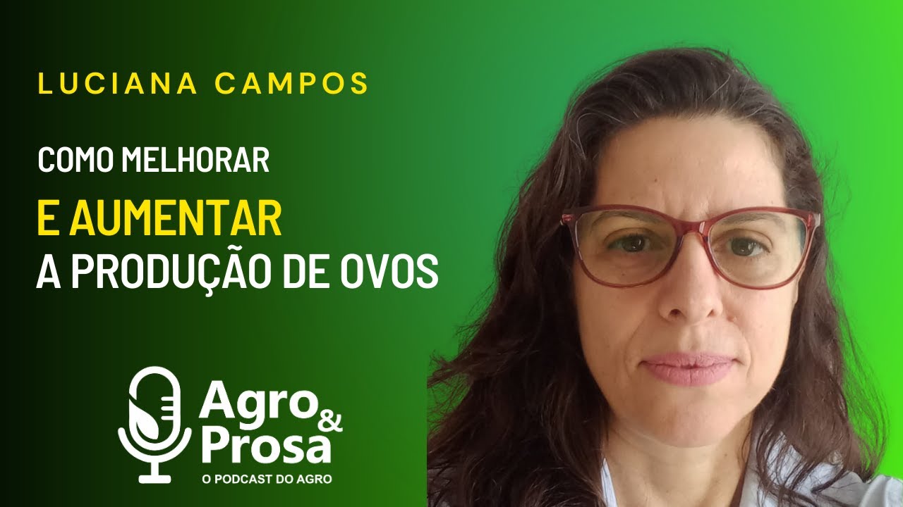 COMO MELHORAR E AUMENTAR A PRODU&Ccedil;&Atilde;O DE OVOS