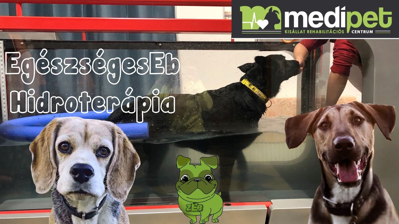 EgészségesEb Hidroterápia
