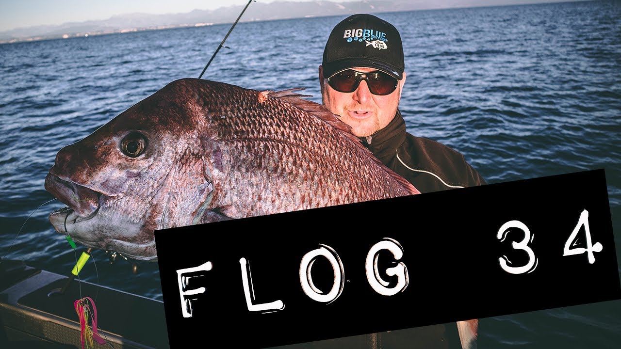Flog 34 // Кубок Снэппера 2019
