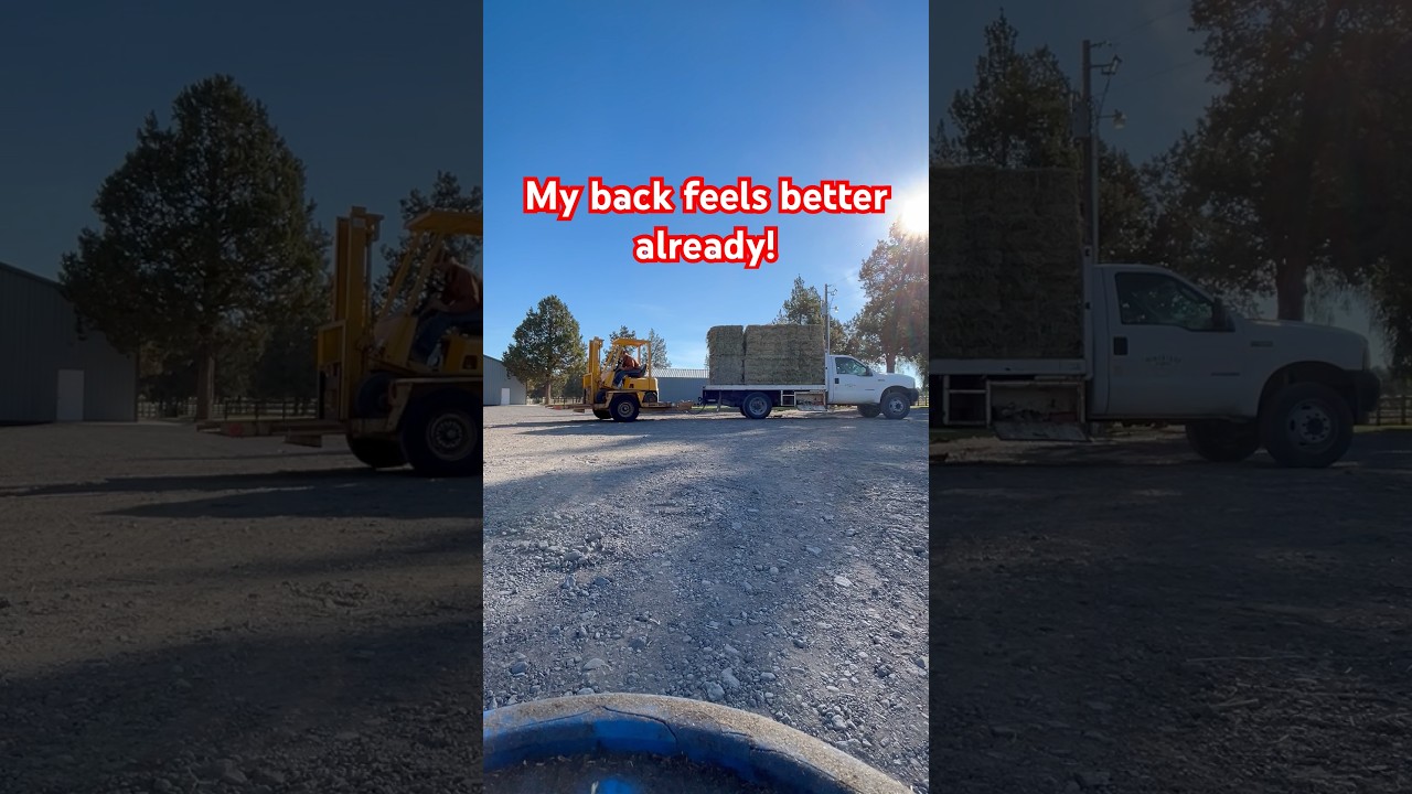 Hay delivery setup 