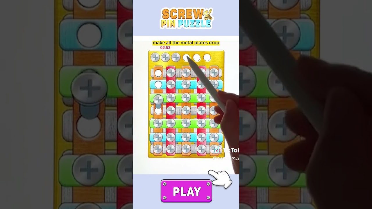 Screw Puzzle Pin: Nuts & Bolts