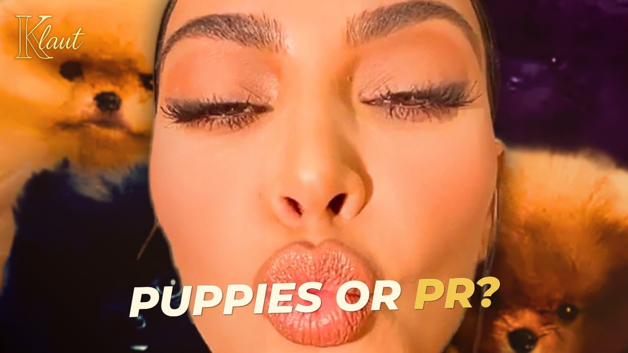 Kim Kardashian vs PETA — Puppies, Power & Celebrity Responsibility
