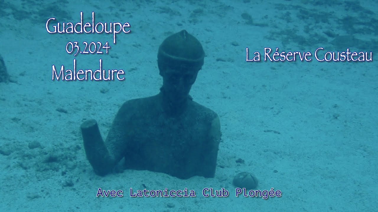 Guadeloupe sous-marine 2024