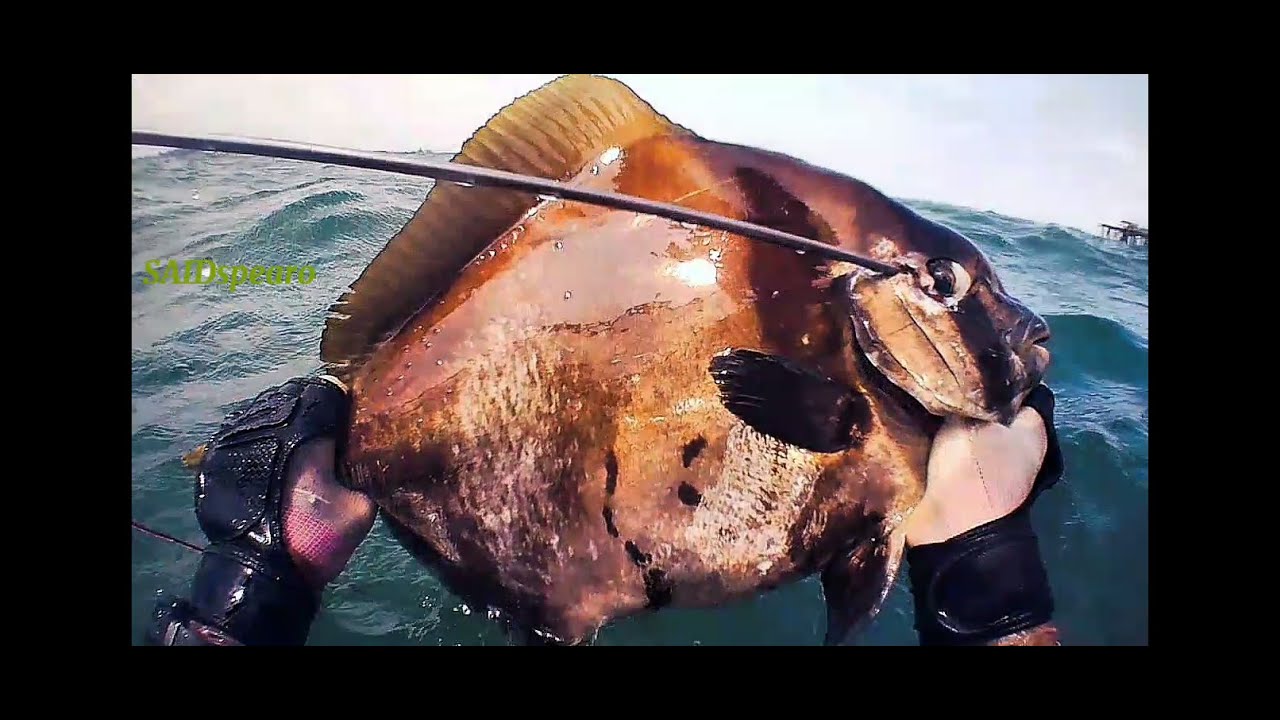Spearfishing karang Bebatuan Cuaca Buruk Panen Monster 