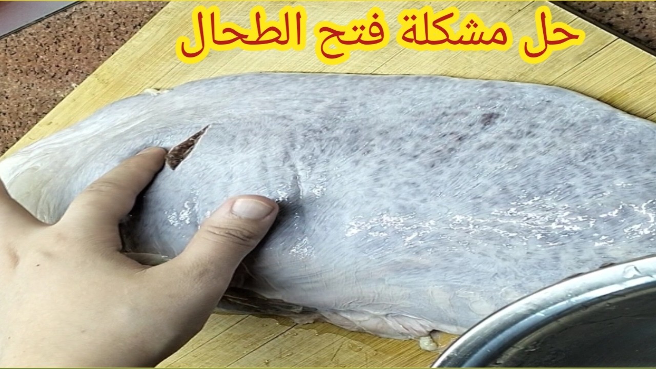 حل مشكلة الطحال المفتوح👈🏻ازاى تعالجيه ليكون بقيمةغذائيه عاليه لرفع نسبةالدم فالجسم وبدون زفارةنهائيا