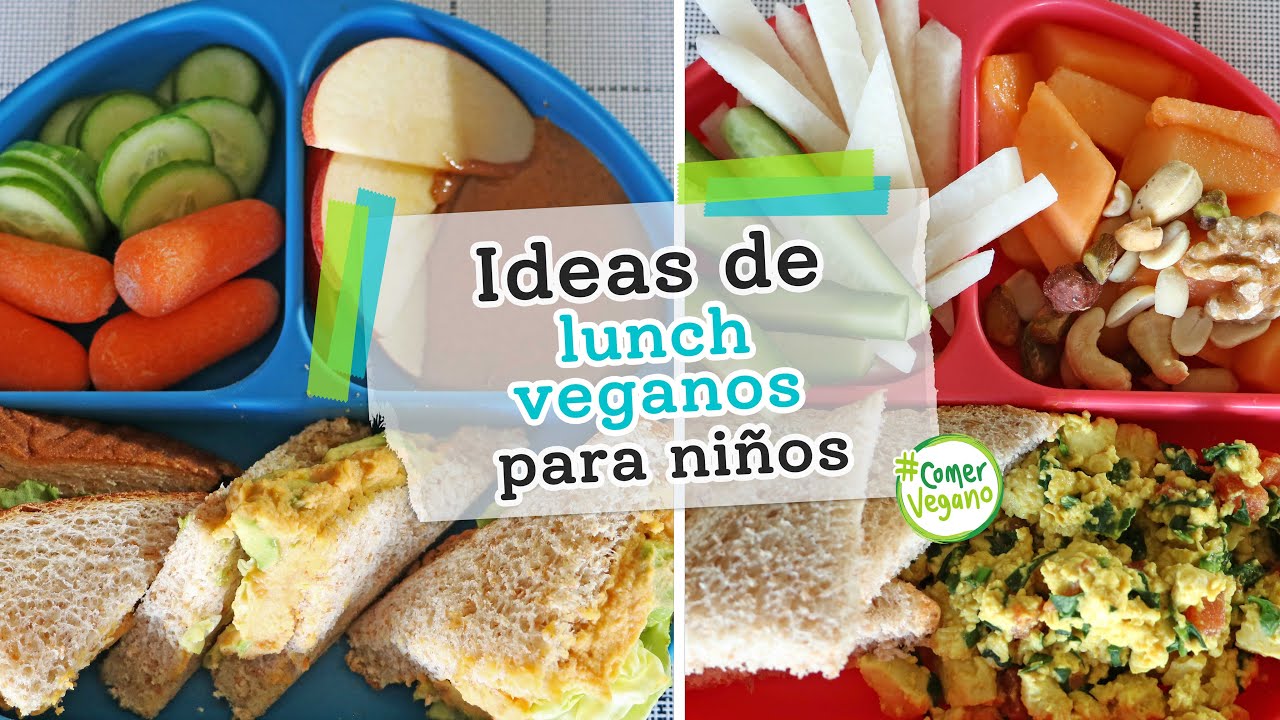 IDEAS DE LUNCH VEGANOS PARA NIÑOS | Saludables, balanceados y altos en proteína...