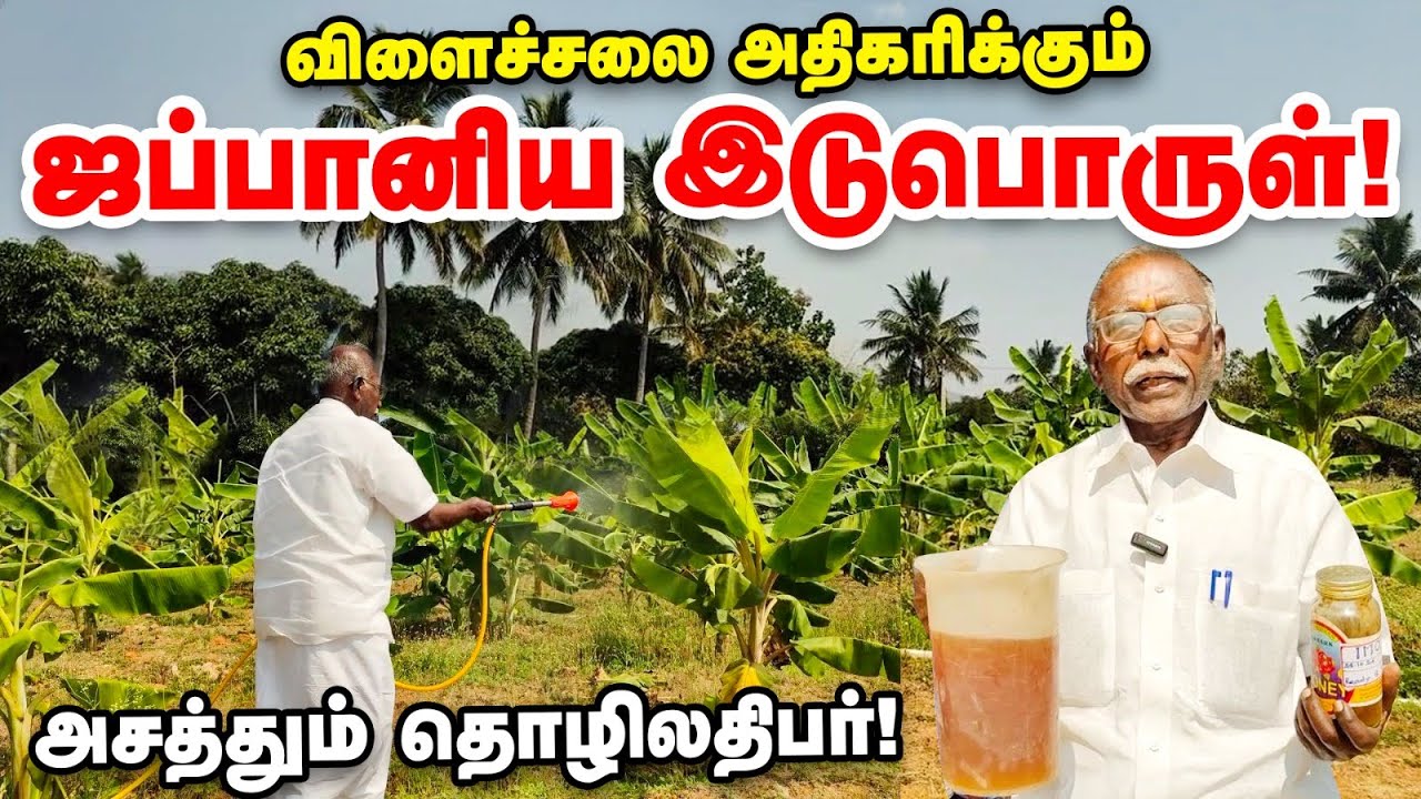 அதிக விளைச்சல் தரும் ஜப்பானிய இடுபொருள் : EM கரைசல் செய்வது எப்படி? | EM Karaisal