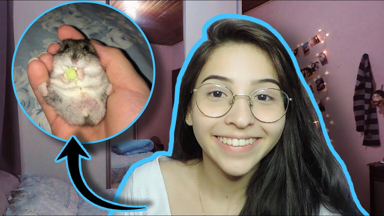 ROTINA DE ADAPTAÇÃO DO MEU HAMSTER *parte 1*