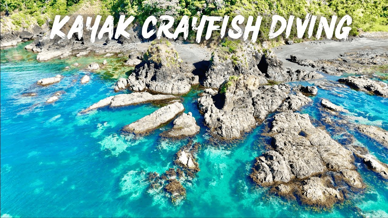 KAYAK FREE-DIVING FOR CRAYFISH - Exploring Remote NZ Reefs