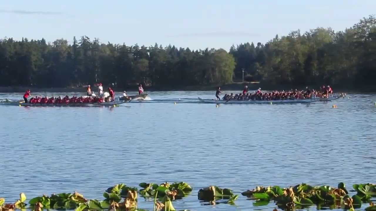 ★ Canadian Dragon Boat Championships 2013 Day 3 Race 97 Dragon Zone Ouroboros & PDBC Senior C