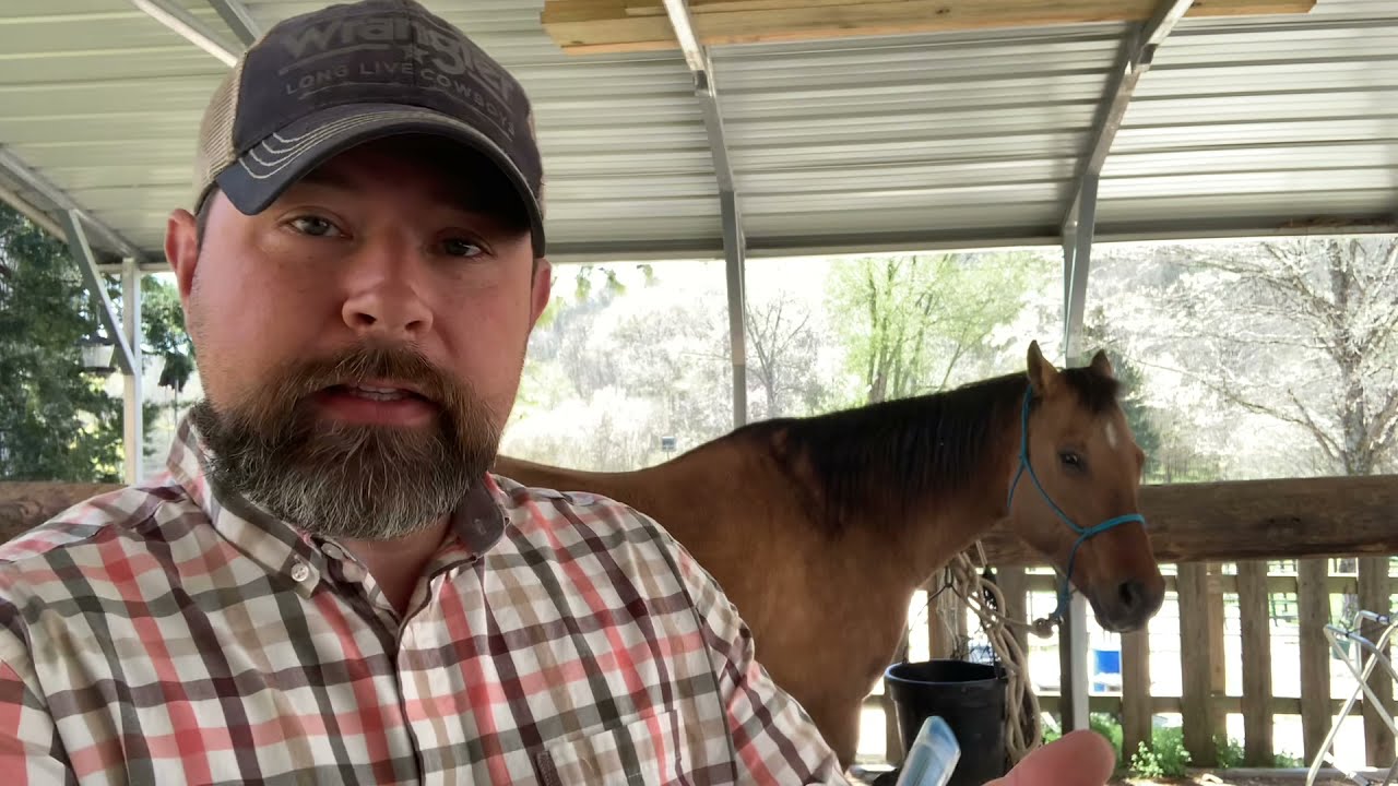 Horse Colic and what to do before calling the vet!