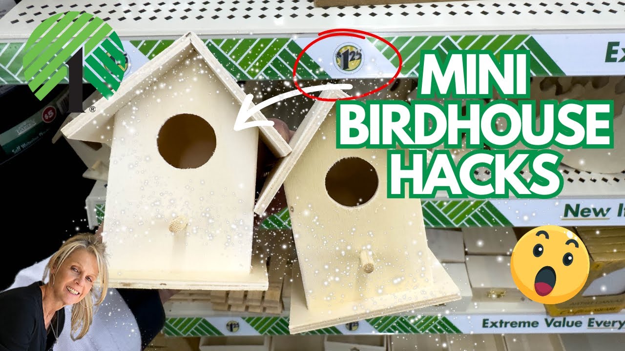 Genius Mini Birdhouse Hacks for Beautiful Home Decor on a Budget