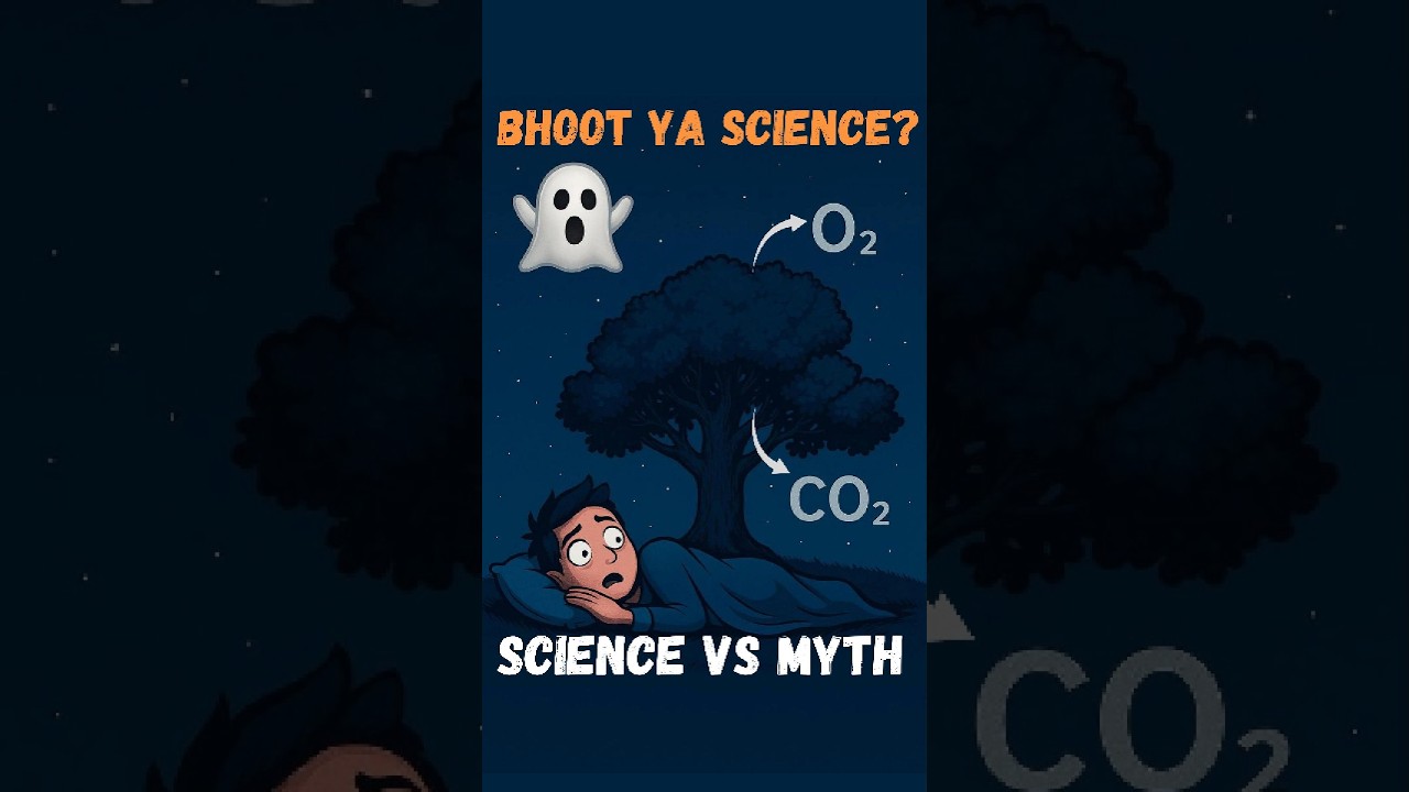 Raat Me Plants Ke Neeche Sona Kyu Mana Hai? | Science Vs Myth | Biology Facts in Hind