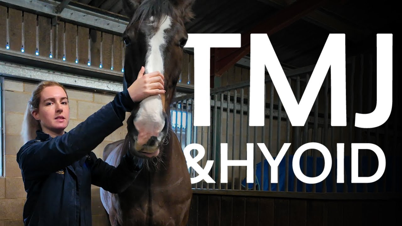 Head-Shaking? Resistance? TMJ?