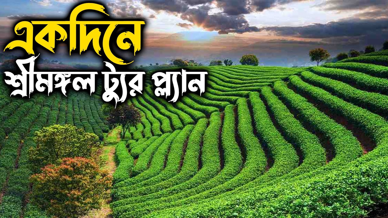 একদিনে শ্রীমঙ্গল ট্যুর প্ল্যান !! Sreemangal Tour