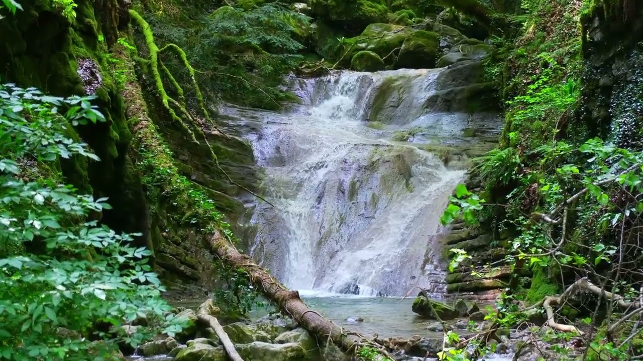 Chemins d'autrefois sur le ruisseau d'Alloix