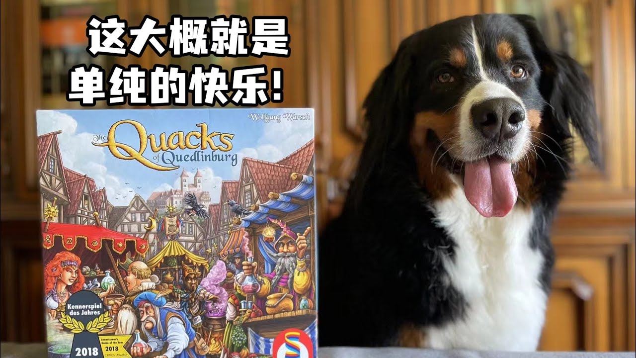【夏天桌游】规则教学 The Quacks of Quedlinburg 《郎中闯江湖》How to play in 9 mins