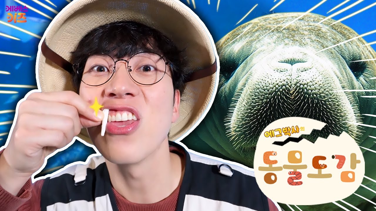오늘은 어떤 동물을 만날까?ㅣ에그박사의 동물 도감 15~18회 모아보기ㅣKBS 방송