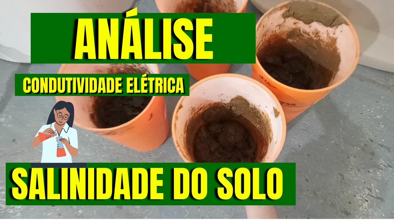 Seu solo &eacute; SALINO? An&aacute;lise de CONDUTIVIDADE EL&Eacute;TRICA (em Laborat&oacute;rio)