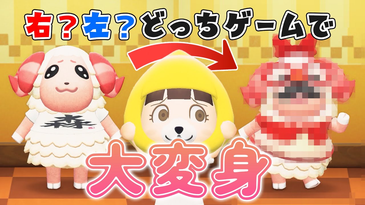 【あつ森アニメ】右左どっちゲームでちゃちゃまるが大変身!!!【ちにゃちゃちゃ】