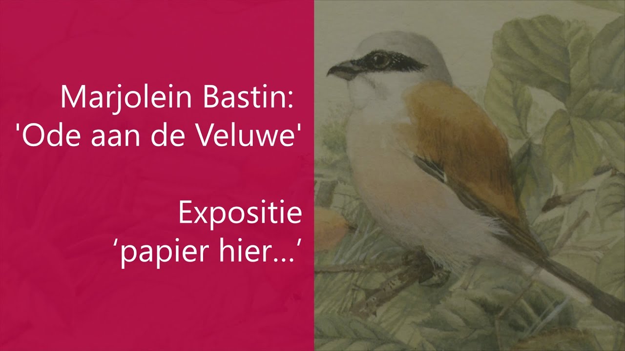 Marjolein Bastin: 'Ode aan de Veluwe' en de expositie ‘Papier hier…’ (Mooi zo 11-04-2022)