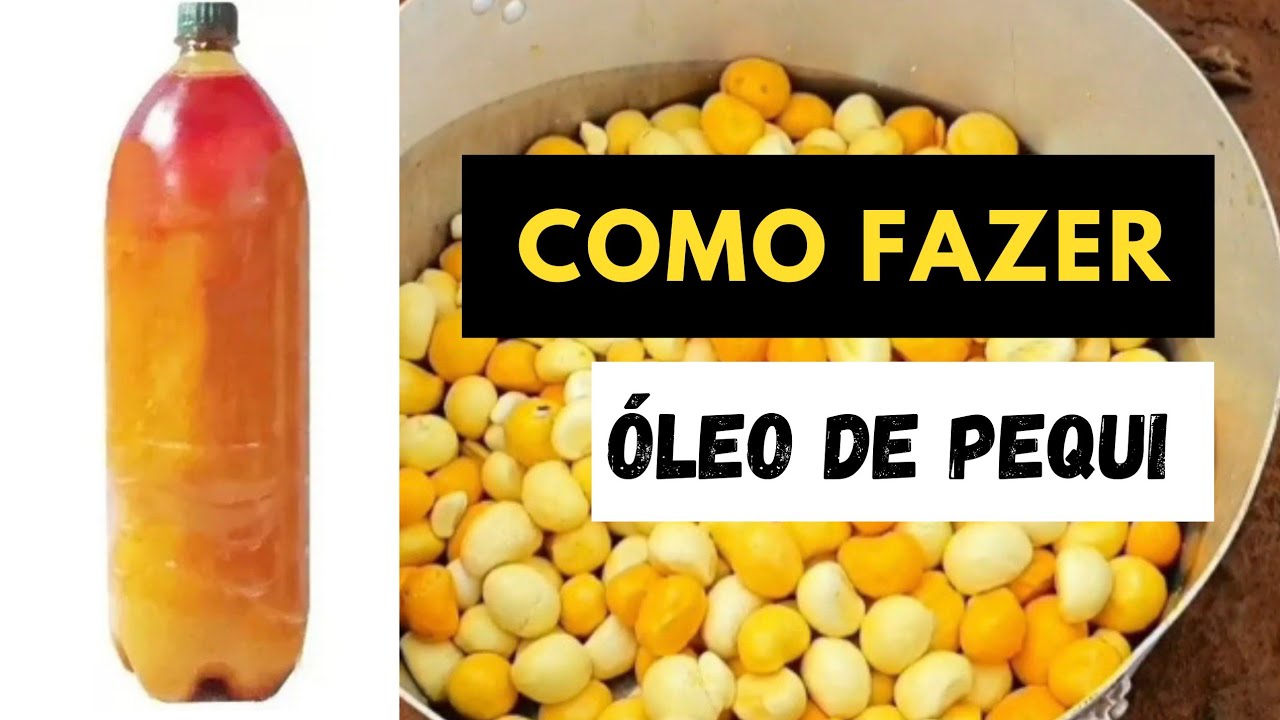 Como fazer Óleo de Pequi do Xingu Passo a passo