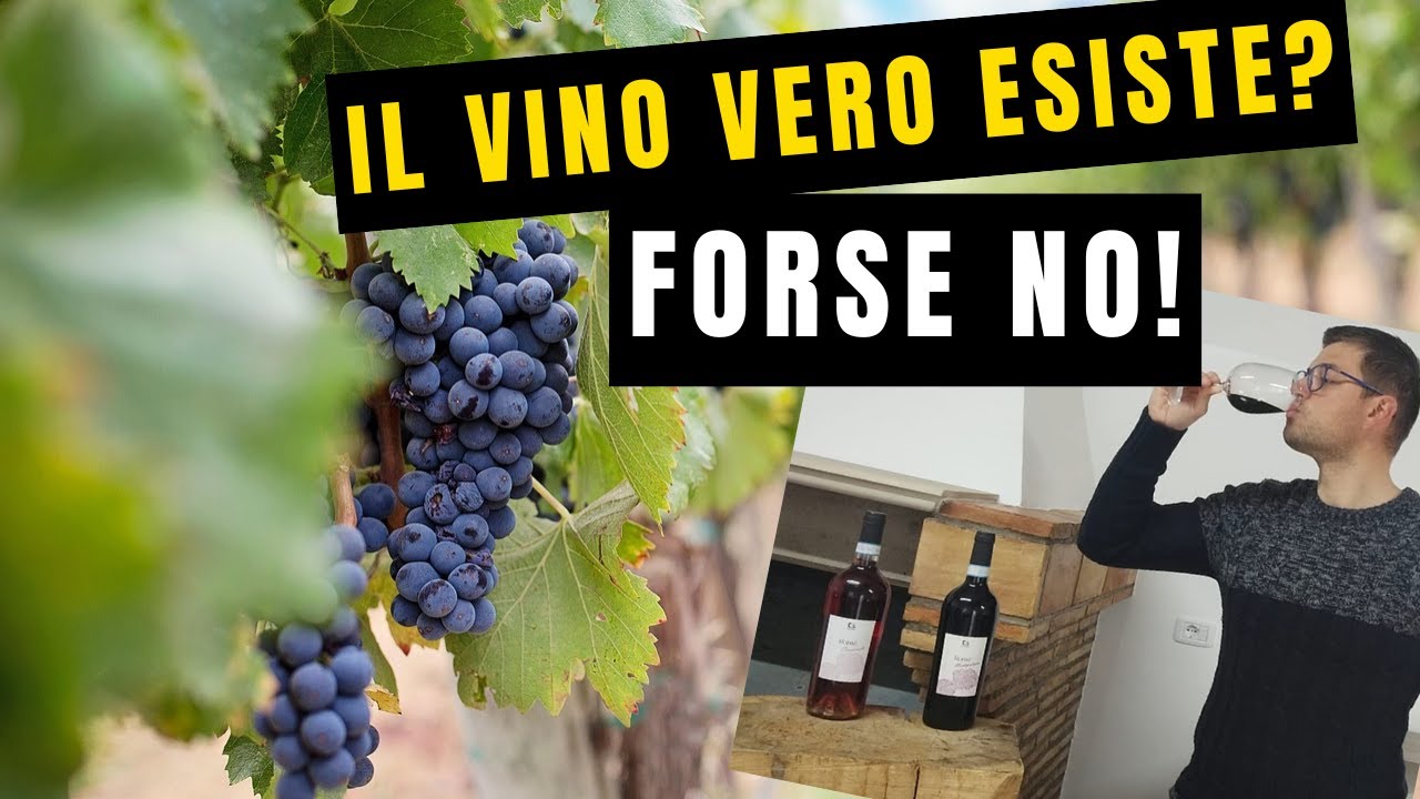 Il vino vero, il vino originale esiste? Dipende... FORSE NO!