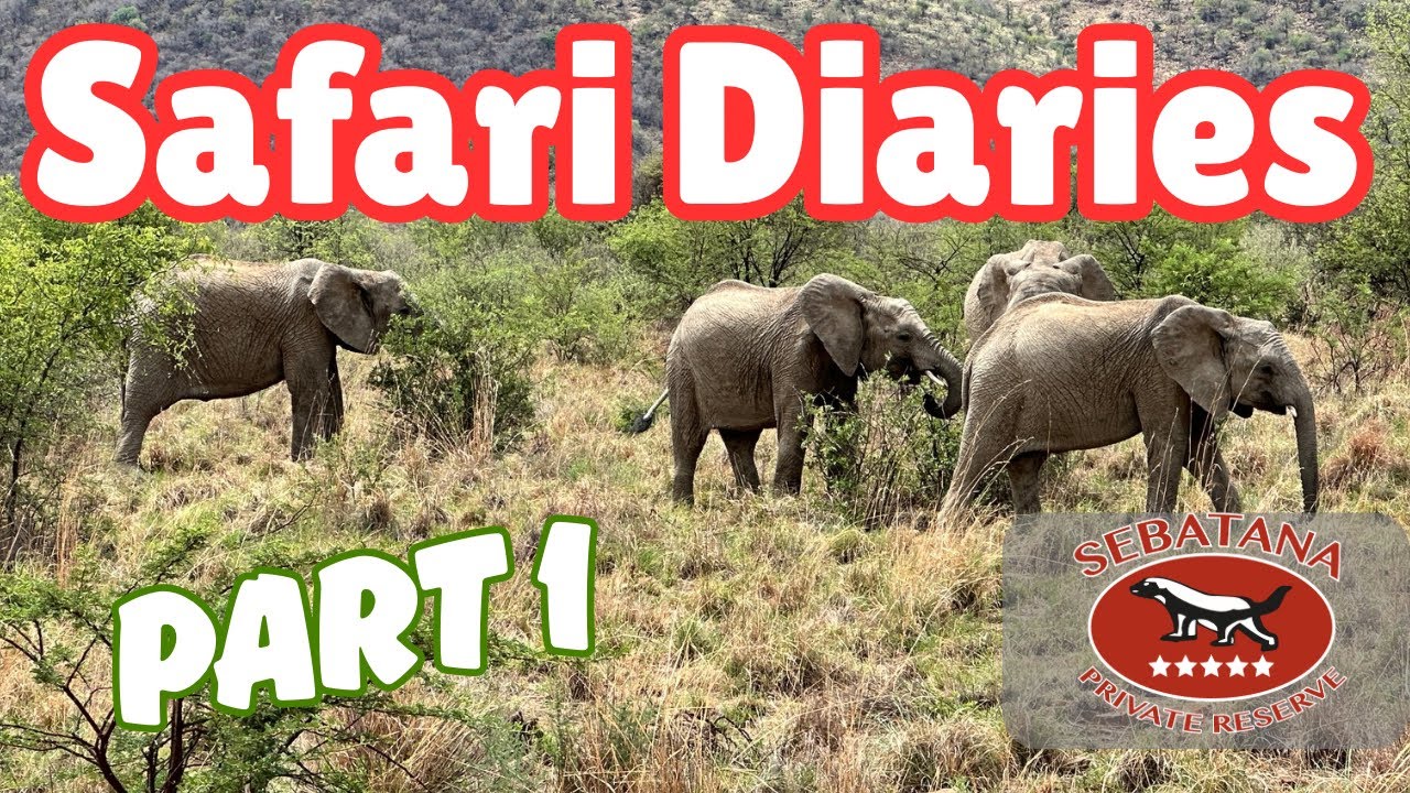 First Time Safari Guide - Sebatana Lodge Safari Diaries - Part 1