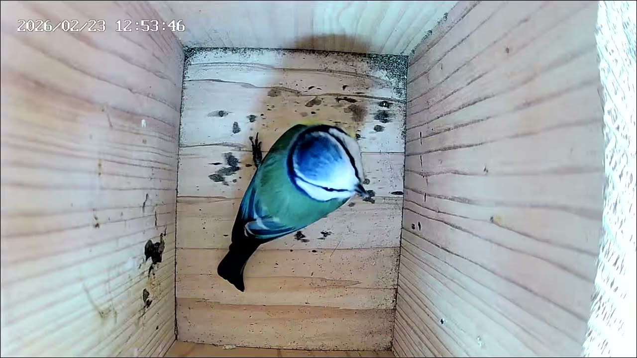 Another active day 23/02/2026