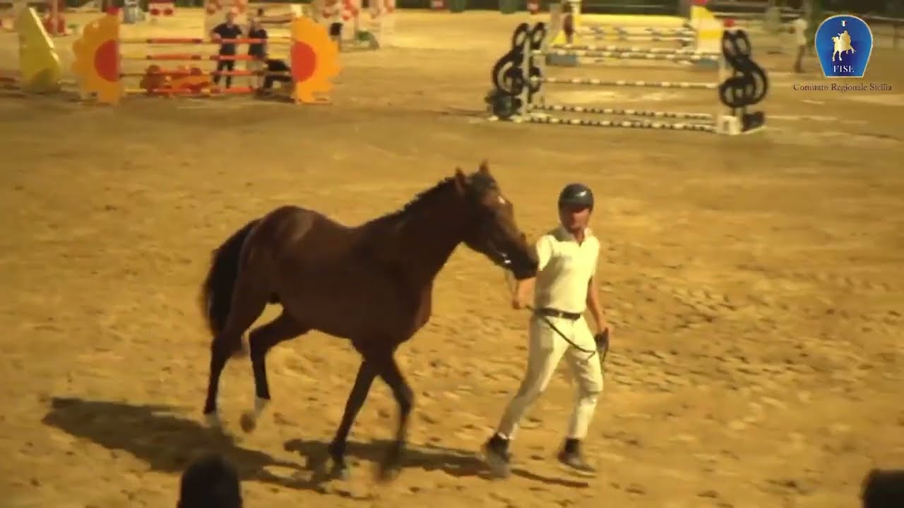 Asta d'Elite - Tenuta di Ambelia (Militello Val di Catania) - 31/08/2024