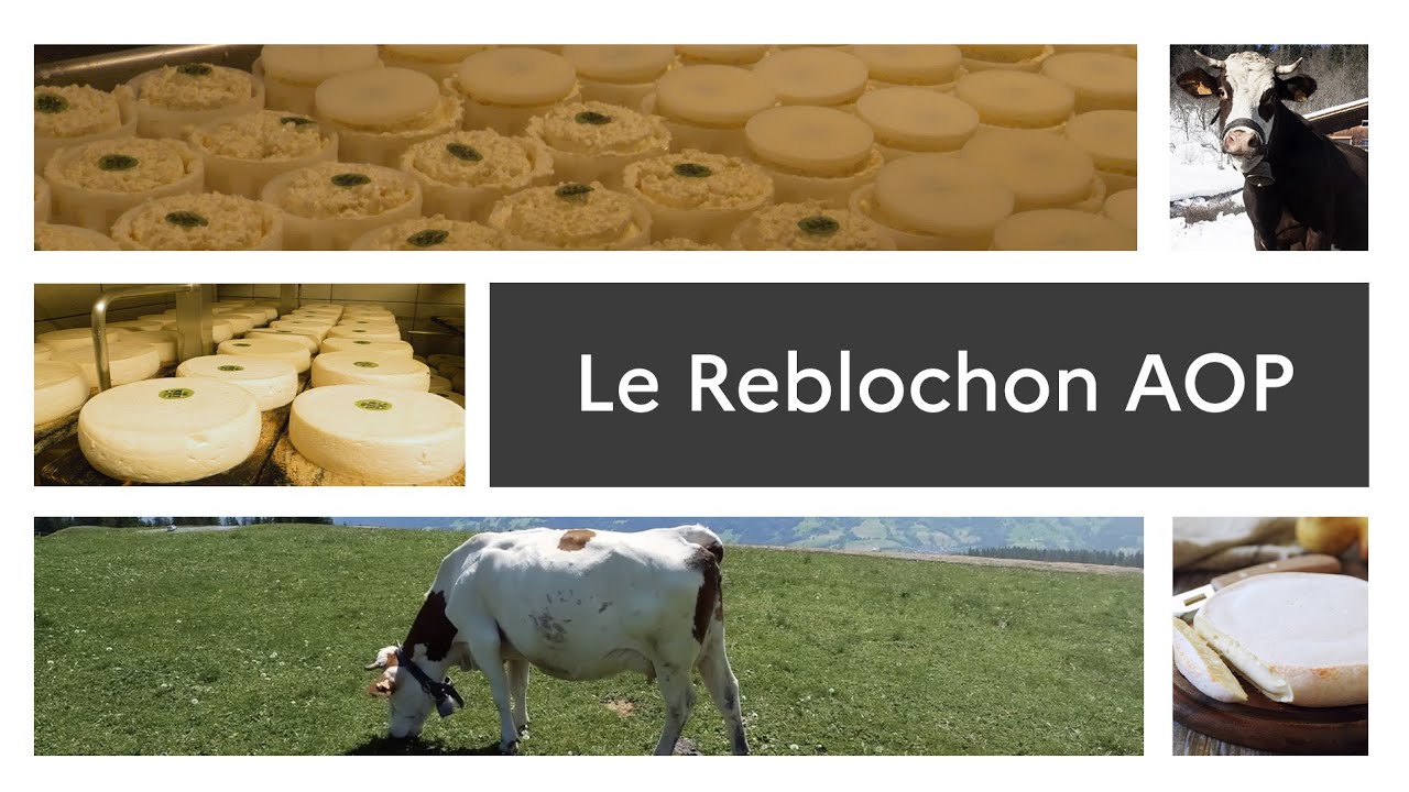 Un produit, un territoire : le Reblochon