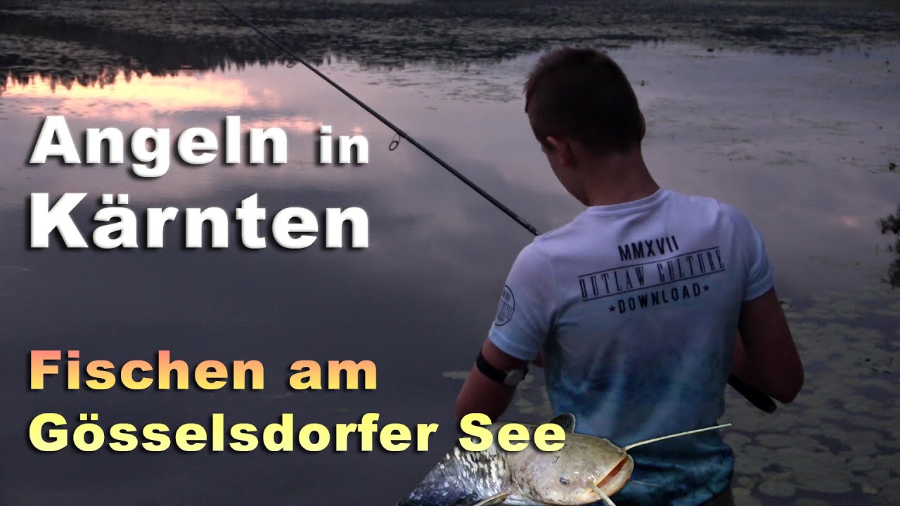 Angeln am Gösselsdorfer See - Fischen in Kärnten - verschiedene Köder und Montagen