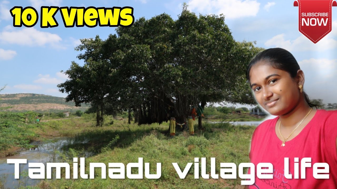 Indian village life | Tamilnadu village life | Saranya Boban | Kovilpatti