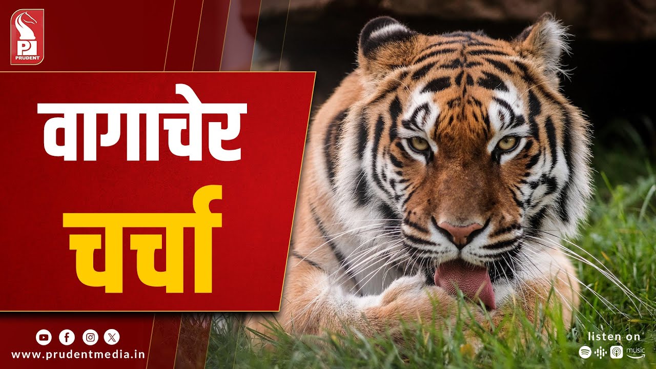 Goa Tiger Reserve Issue: CEC Engages with Residents, Petitioners