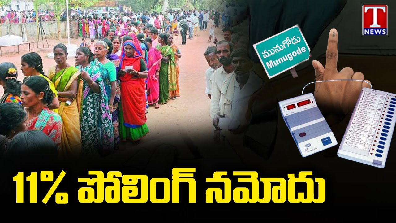 Munugode Polling Updates : 11 % Polling Reported Till 8am | T News