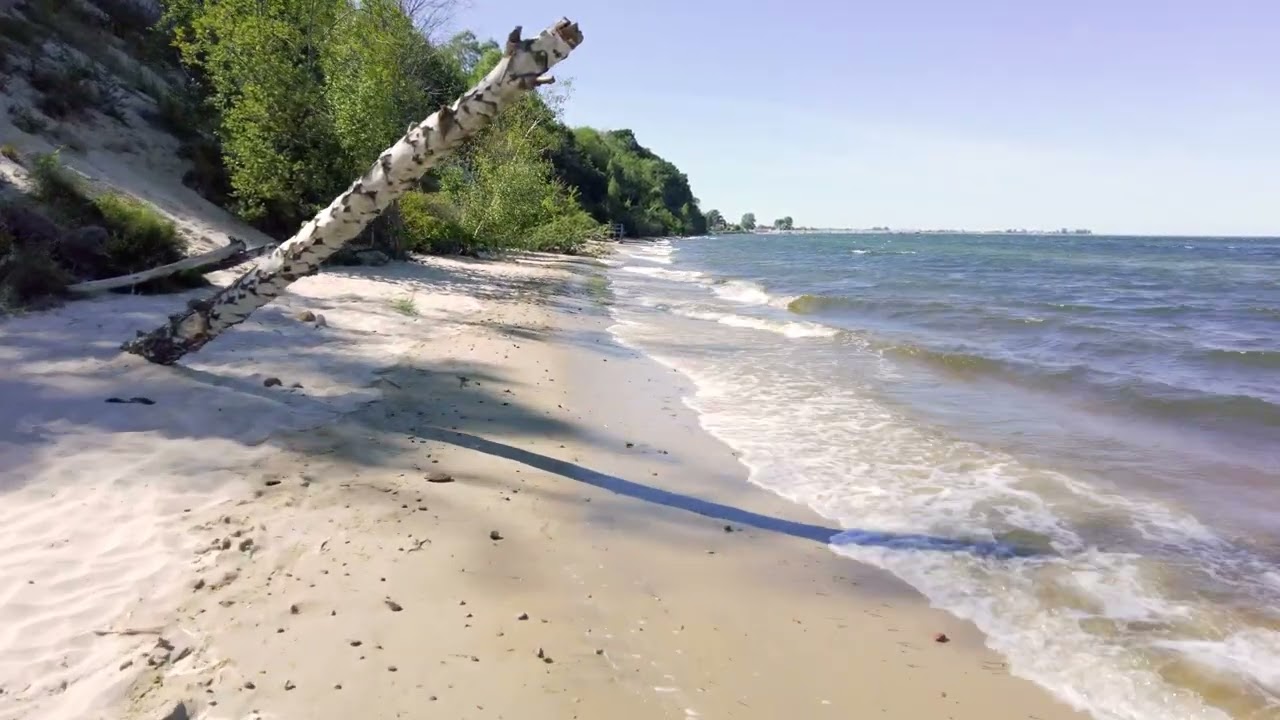 MECHELINKI | Tropikalna plaża nad morzem [4k]