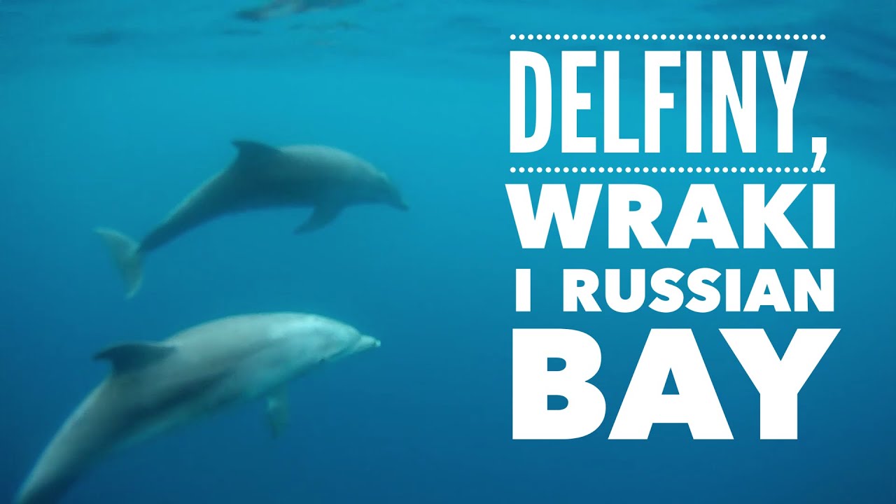 Odc. 18 - Jak płynęliśmy z delfinami na Poros, do Russian Bay i na Agistri