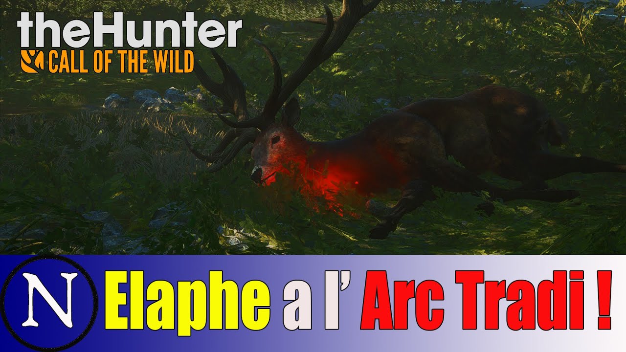The Hunter Call of the Wild  chasse du cerf Elaphe à l'arc Traditionnel