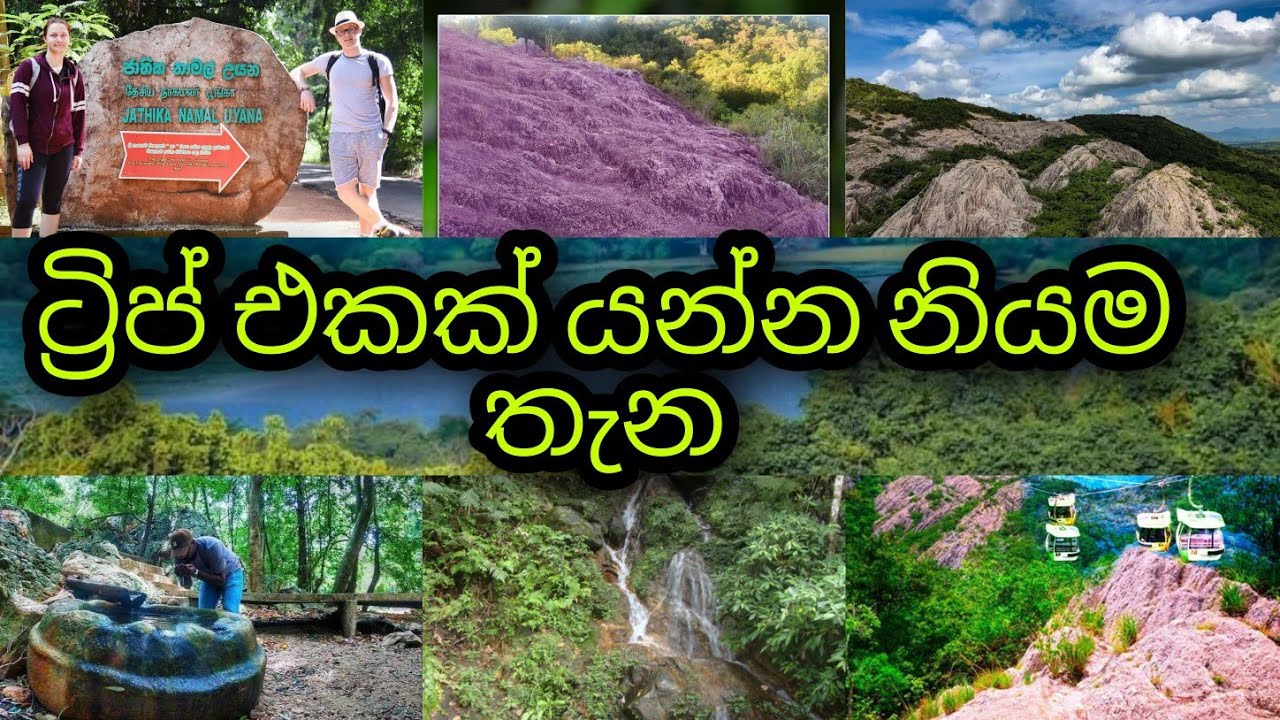 ජාතික නාමල් උයන අනුරාධපුර | jathika Namal uyana, Anuradhapura