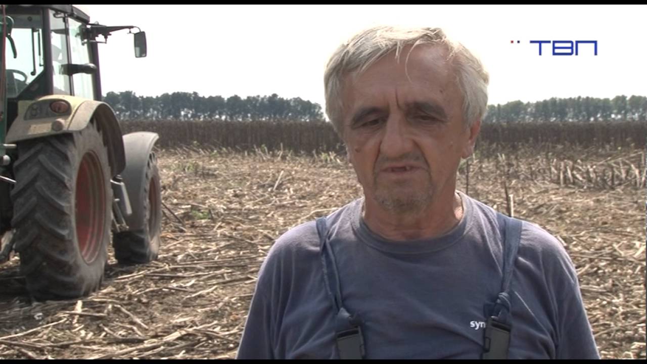 TV Pančevo - Bespoštedna borba protiv lopova