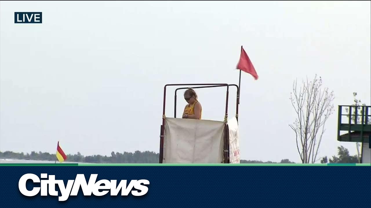 Toronto beach safety warnings create confusion