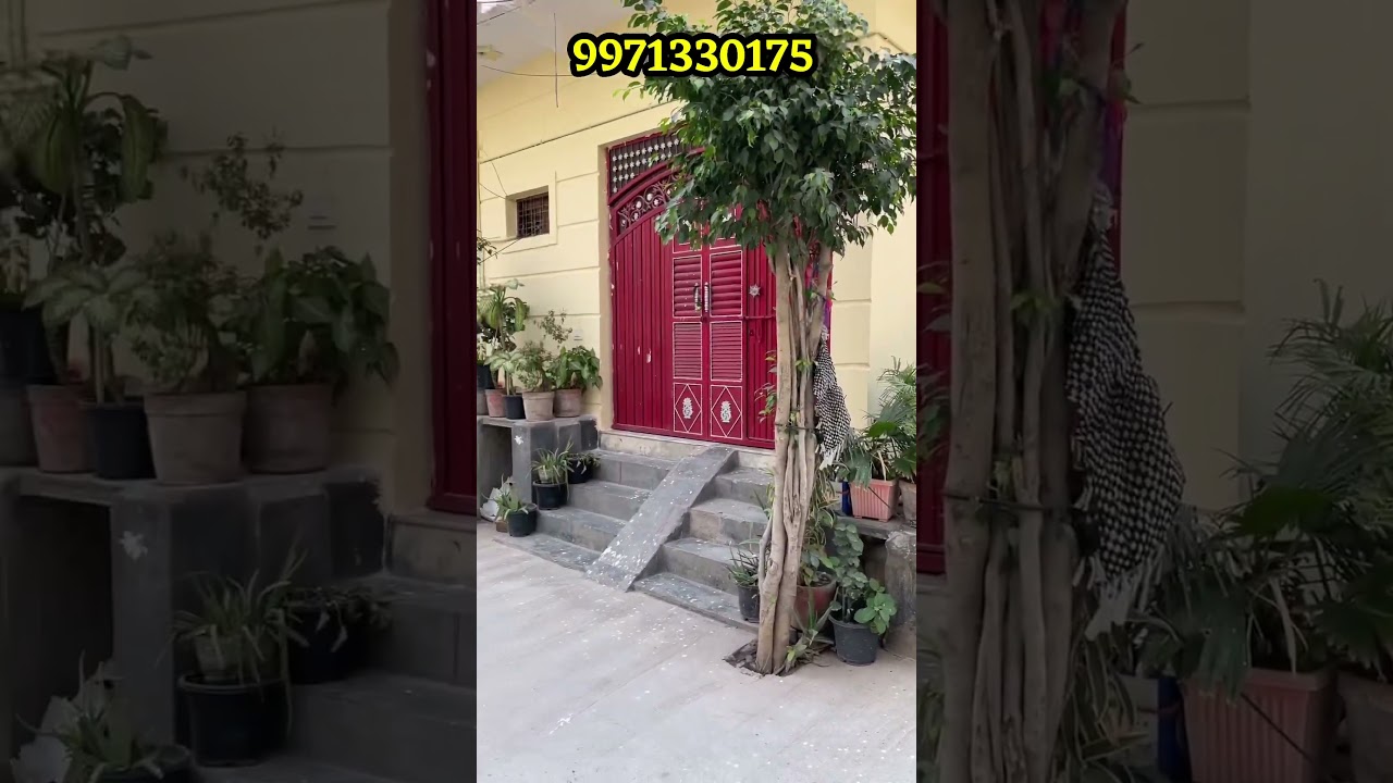 Delhi Jai Vihar Nazafgarh ॥ Plot in Delhi Najafgarh ॥ #plot #plotindelhi #residentialplot