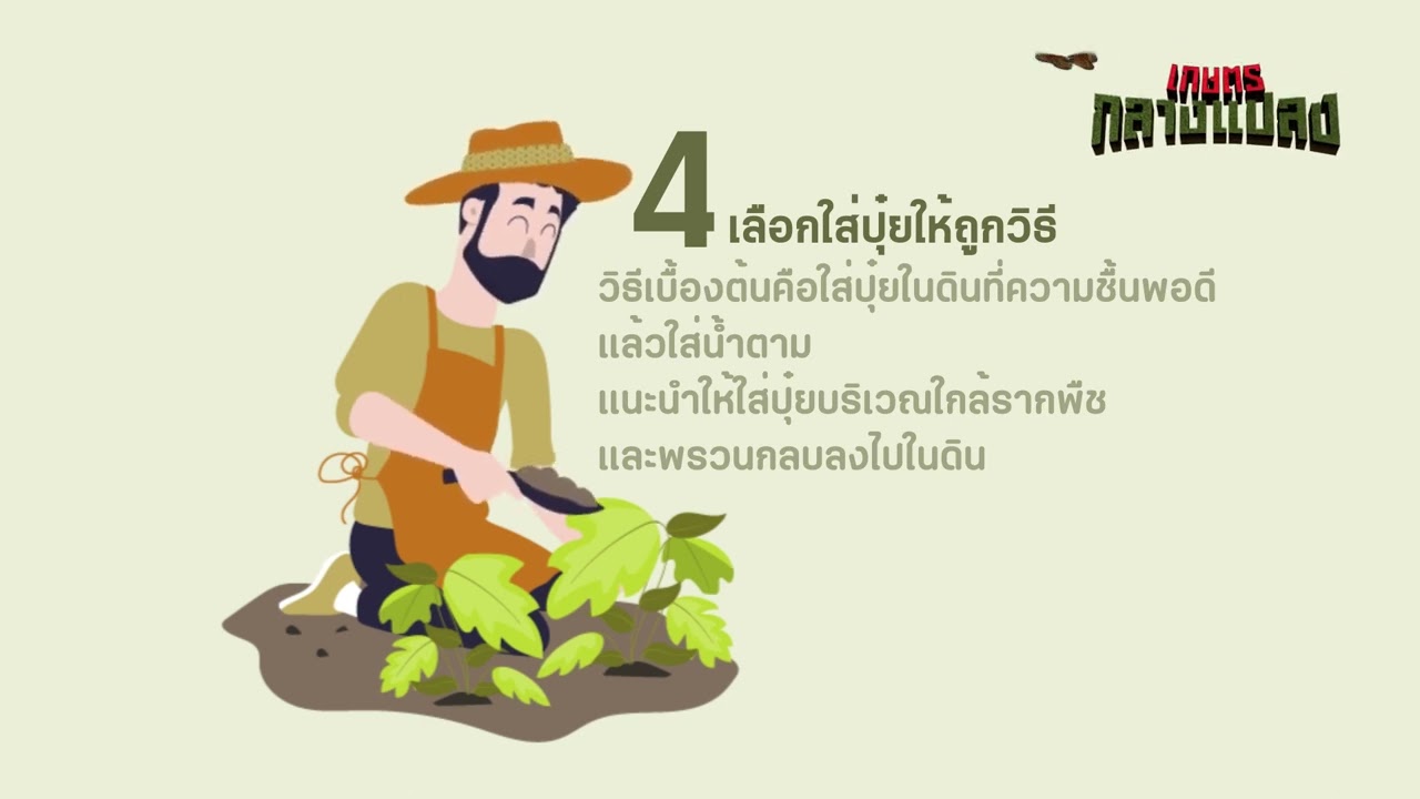 แกะเปลือกกลางแปลง สาระน่ารู้เรื่องเกษตร l 4 แนวทางการเลือกใช้ปุ๋ย