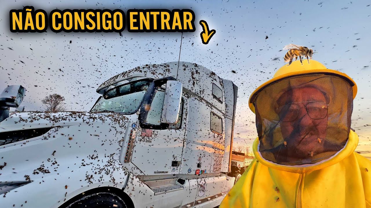 SOCORRO NÃO CONSIGO ENTRAR NO CAMINHÃO 🚛 ME FERREI AS ABELHAS INVADIRAM TUDO 😰😱