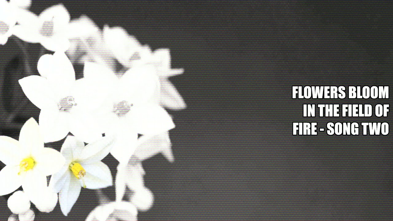 Flowers bloom in The Field Of Fire - Song Two